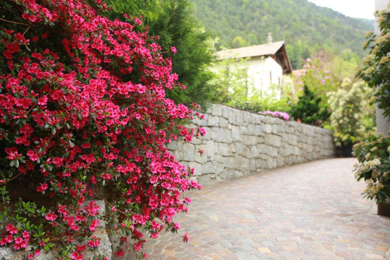 Fixlhof Διαμέρισμα Rifiano Εξωτερικό φωτογραφία